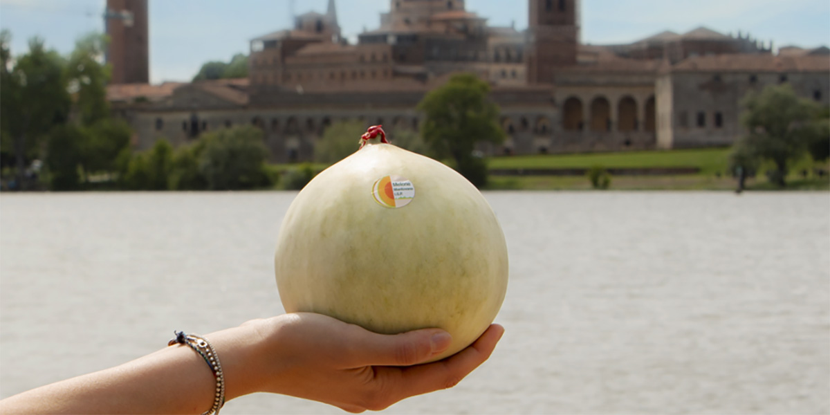 Il territorio fa rete: nasce il Simposio del Melone mantovano IGP